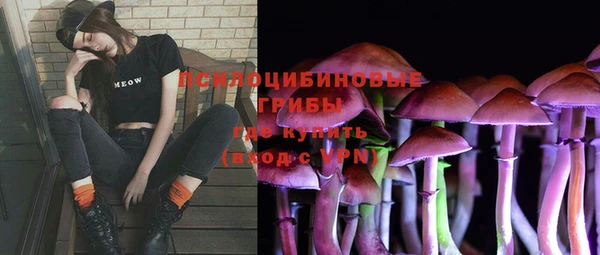 PSILOCYBIN Михайлов