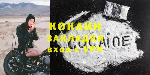 PSILOCYBIN Михайлов