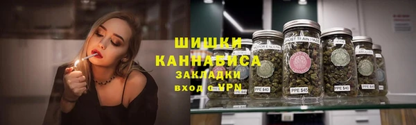 PSILOCYBIN Михайлов
