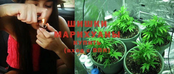 PSILOCYBIN Михайлов