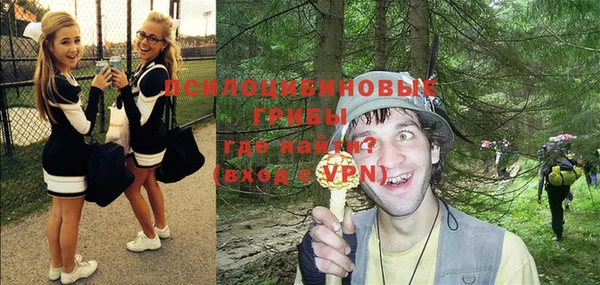 PSILOCYBIN Михайлов
