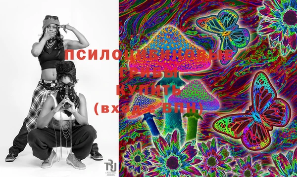 PSILOCYBIN Михайлов