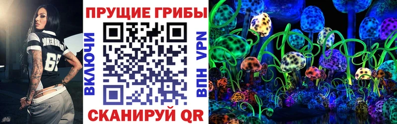 Галлюциногенные грибы Psilocybe  Тюкалинск 